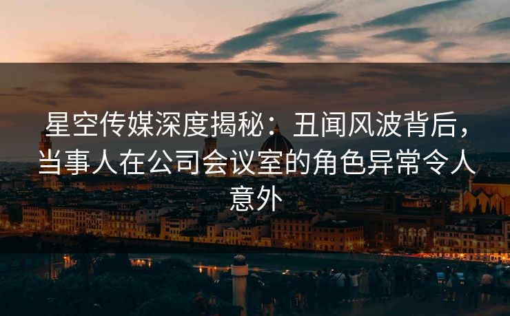 星空传媒深度揭秘：丑闻风波背后，当事人在公司会议室的角色异常令人意外