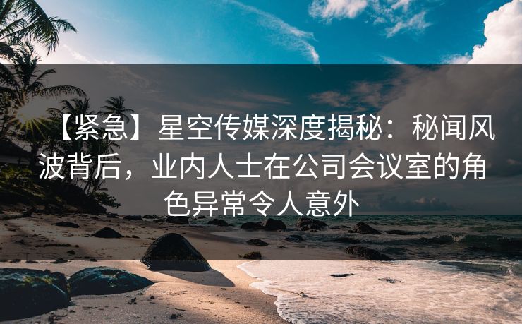 【紧急】星空传媒深度揭秘：秘闻风波背后，业内人士在公司会议室的角色异常令人意外